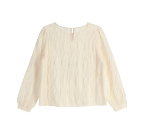 Attrangs Gentle-fit Lace Sheer Puff Fleece Blouse