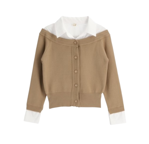 Attrangs Shirt Blouse Layered Knit